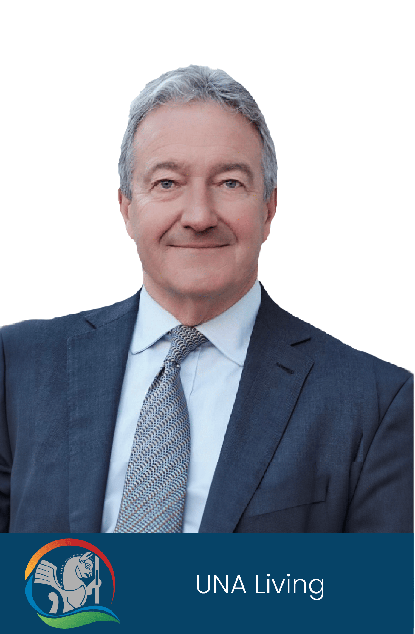 about us - strategic adviser