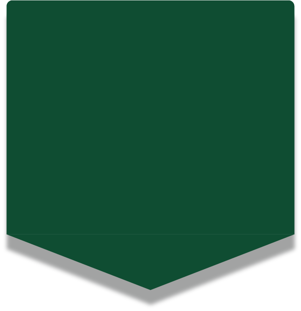 about us- vision and values green background