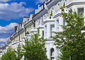 Rent a flat or house